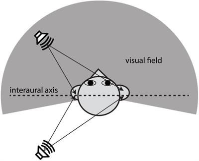 Audiovisual Interactions in Front and Rear Space